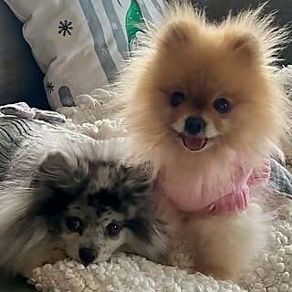 Teaka & Willow