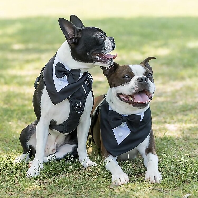 Oskar & Milo