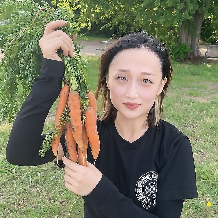 Seed To Harvest