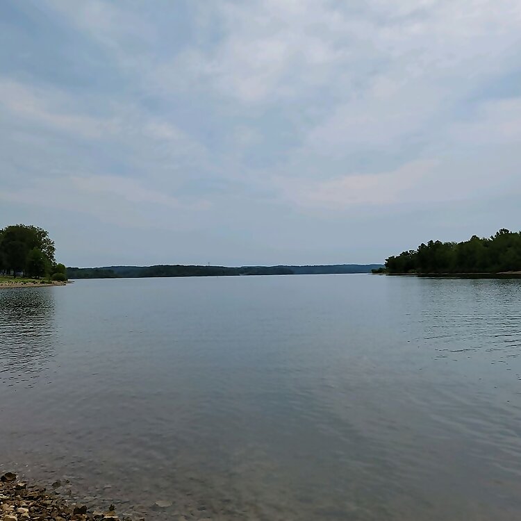 CreeksideMama