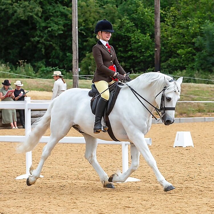 Harlow White