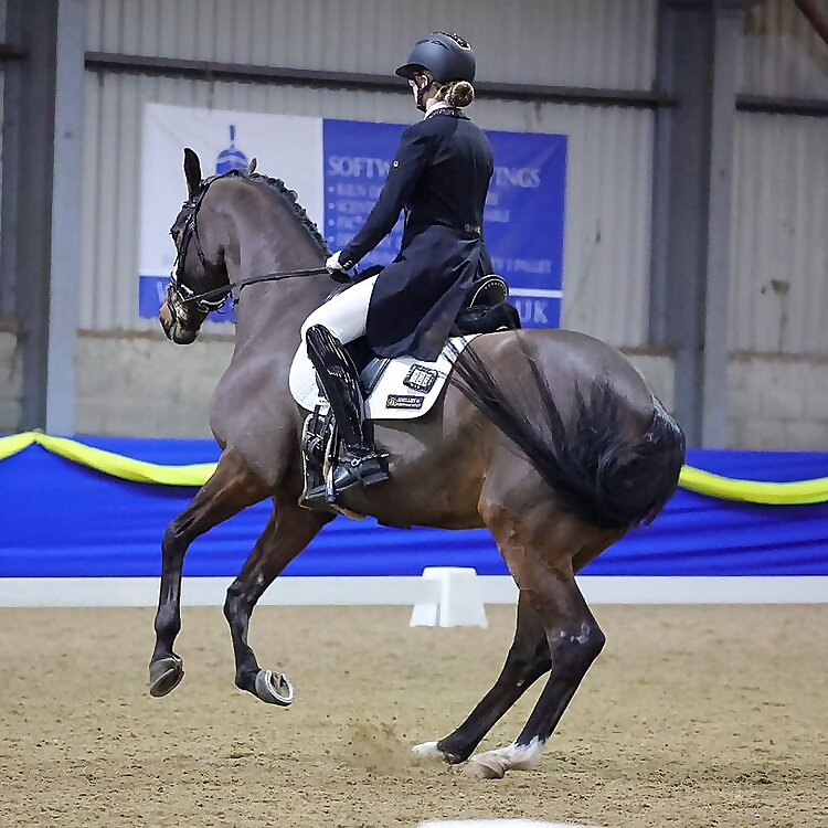M E Dressage
