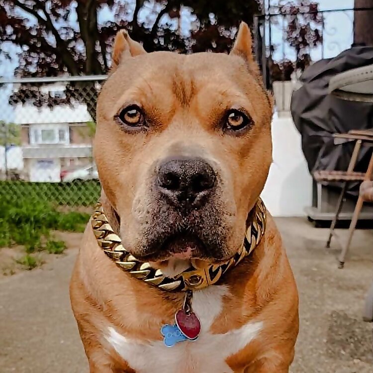 Eddie