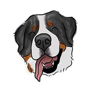 Hank