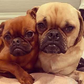 Hank Oliver & Stewart Russell