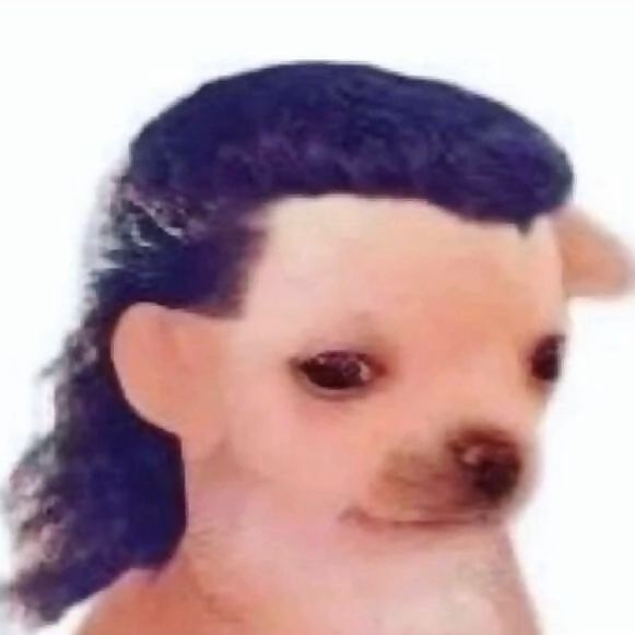 Epic Shrimpz