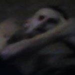 Jae Matthews & Augustus Muller