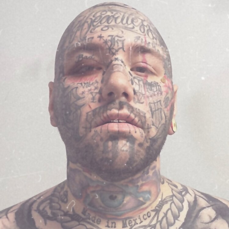 Brandon Pippin