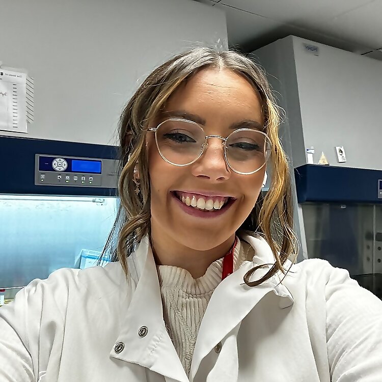 Sophin Vitro