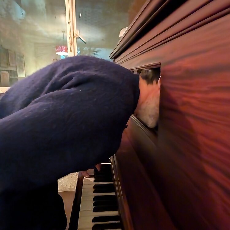 Patrick Watson