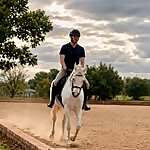 Wouter de Beer