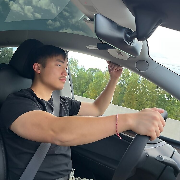 Tesla Vloga