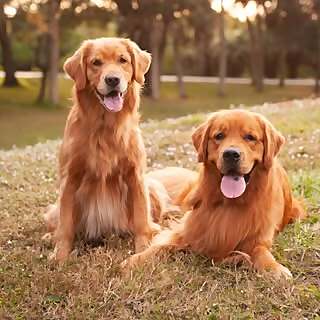 Bowen & Max