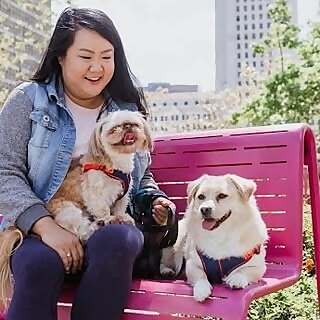 Salina & Jedi & Tim Tam