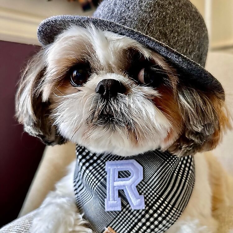 Roku
