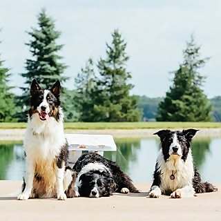 Lincoln & Owen & Bruce & Harold