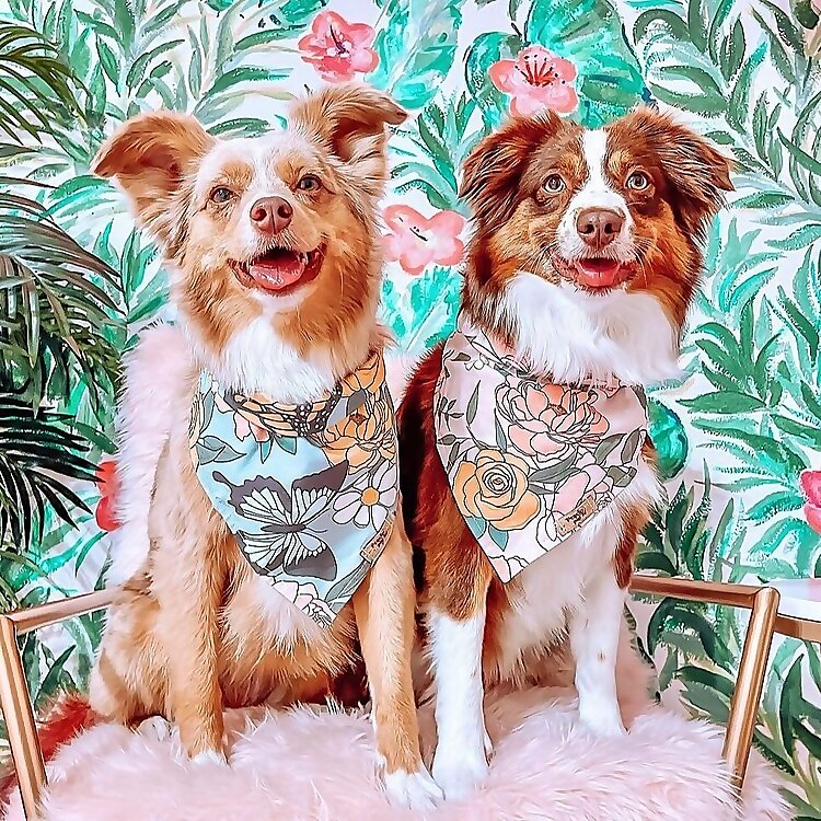 Belle & Hazel 
