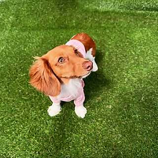 Winnie