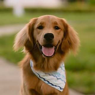 Jim 