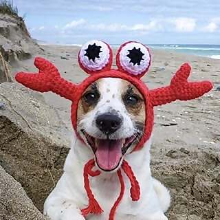 Shelly, Stink & Stubbs