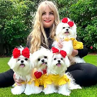 Molly, Mila, Maui and Max