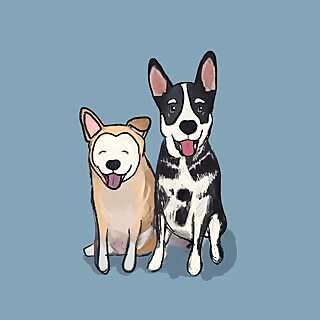 Karma, Luka & Twinnie 