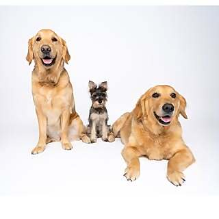 Valentina, Valerie & Valentin