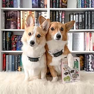 Luna Banana & Lily Bean