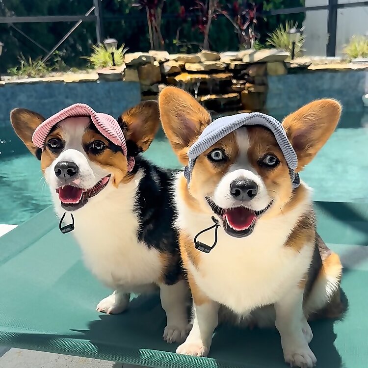 Rio & Mia 