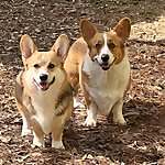 Maui & Alfie