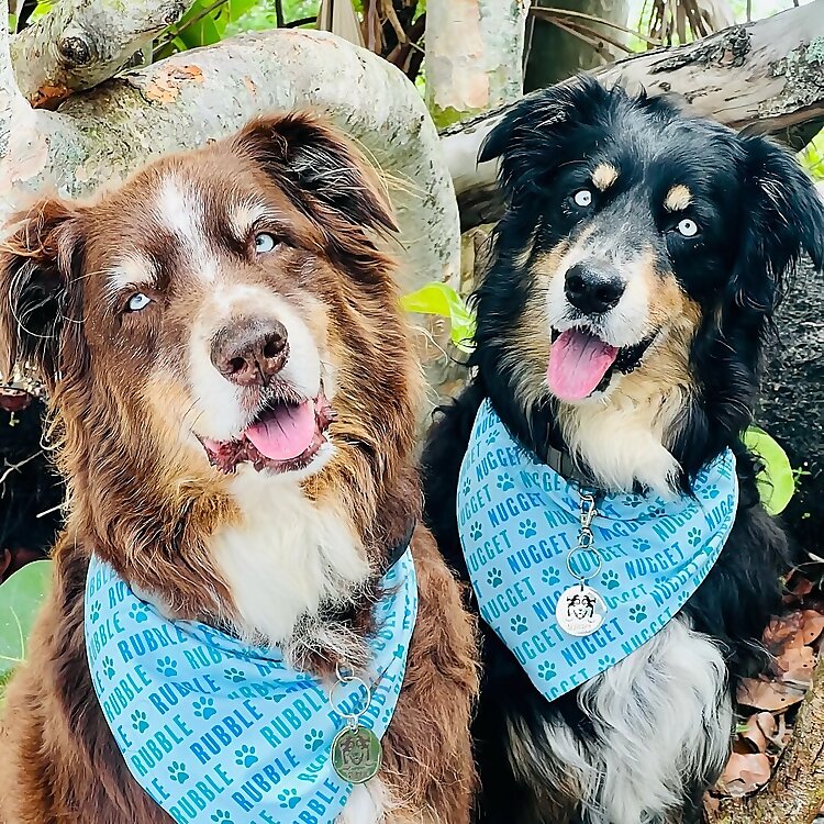 Rubble & Nugget