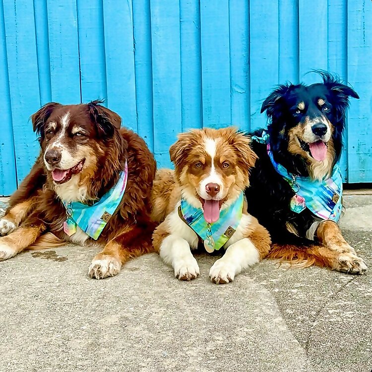 Rubble & Nugget