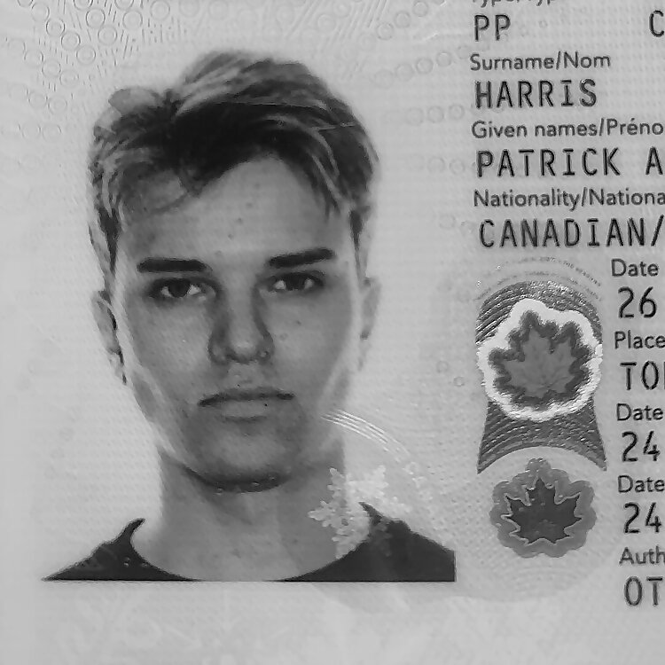 Patrick Harris