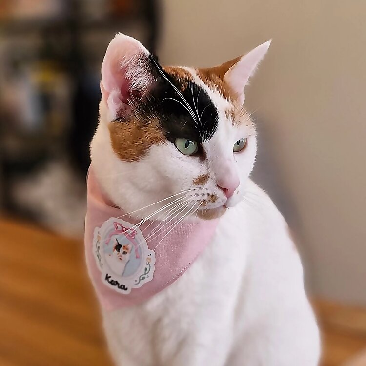 kora