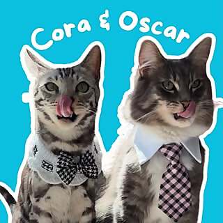 Oscar & Cora 