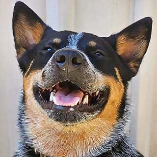 Mac 