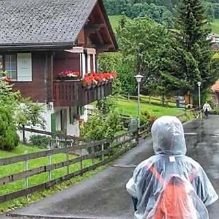 ‎Widad Al-Ammar??‎