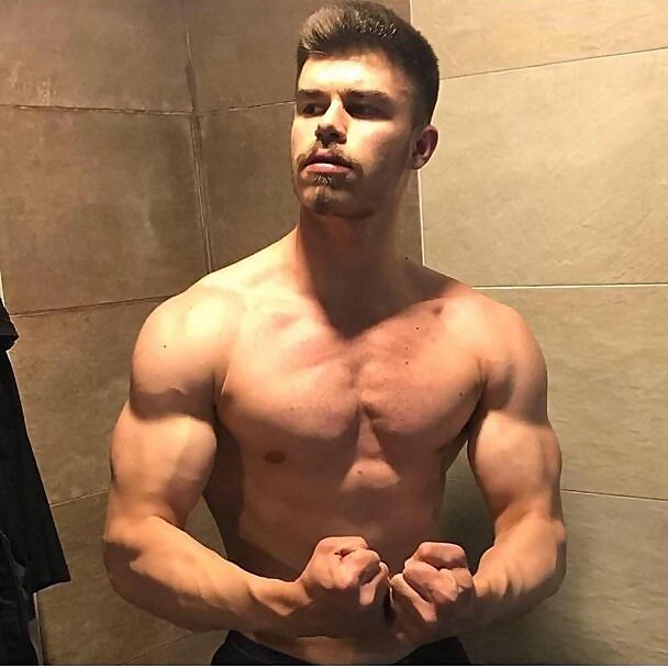 Karim Al Mulki