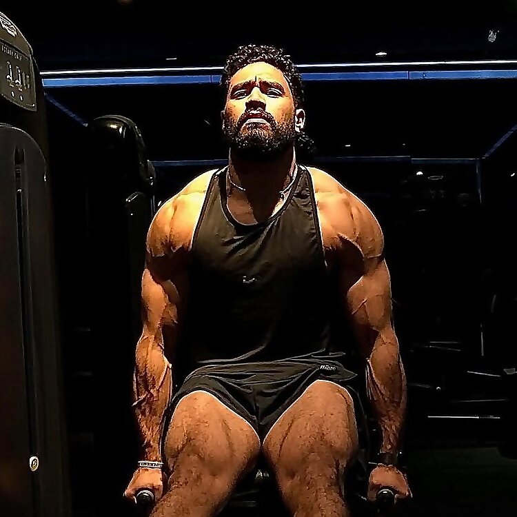 Shehab El Din