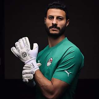 Mohamed Elshenawy