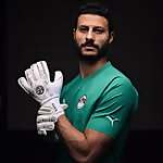 Mohamed Elshenawy