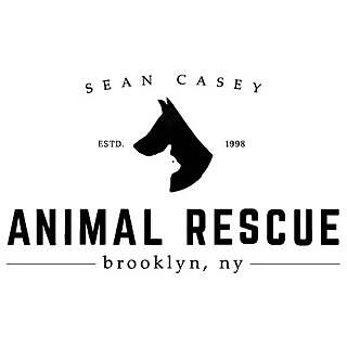Sean Casey 