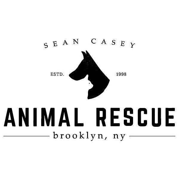 Sean Casey 