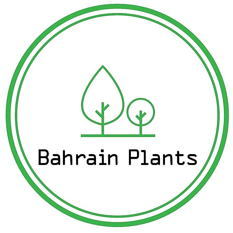 Bahrain Plants