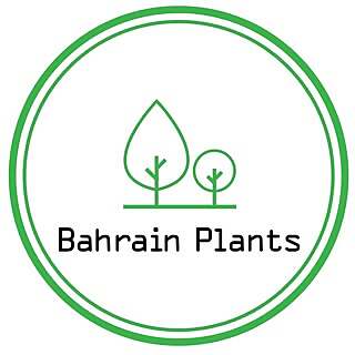 Bahrain Plants