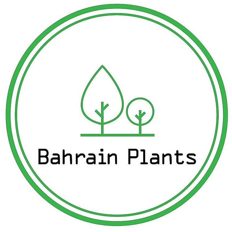 Bahrain Plants