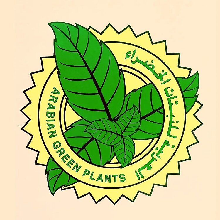 Arabian Green Plants Jasra