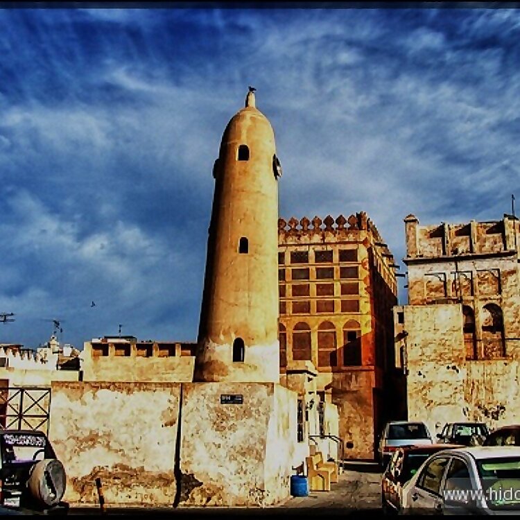 Queen Palm Nurseries