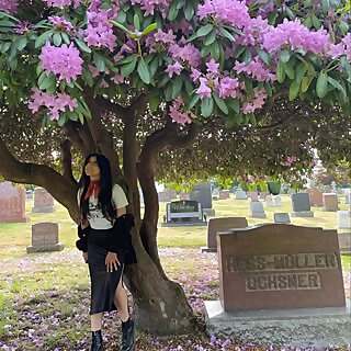 Jasmine