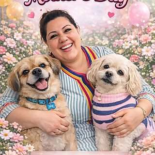 Gilane el zahaby